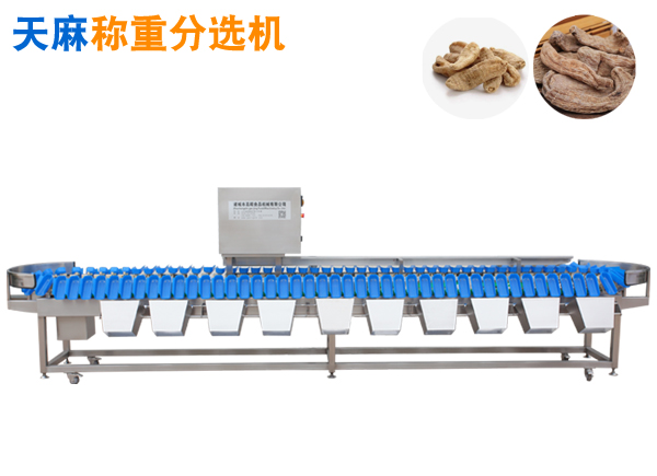 天麻等中藥分選機(jī)水果重量分揀機(jī)土豆挑個(gè)機(jī)