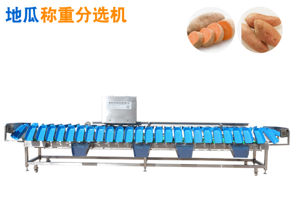 地瓜定量稱重分選機 土豆托盤式重量分選機